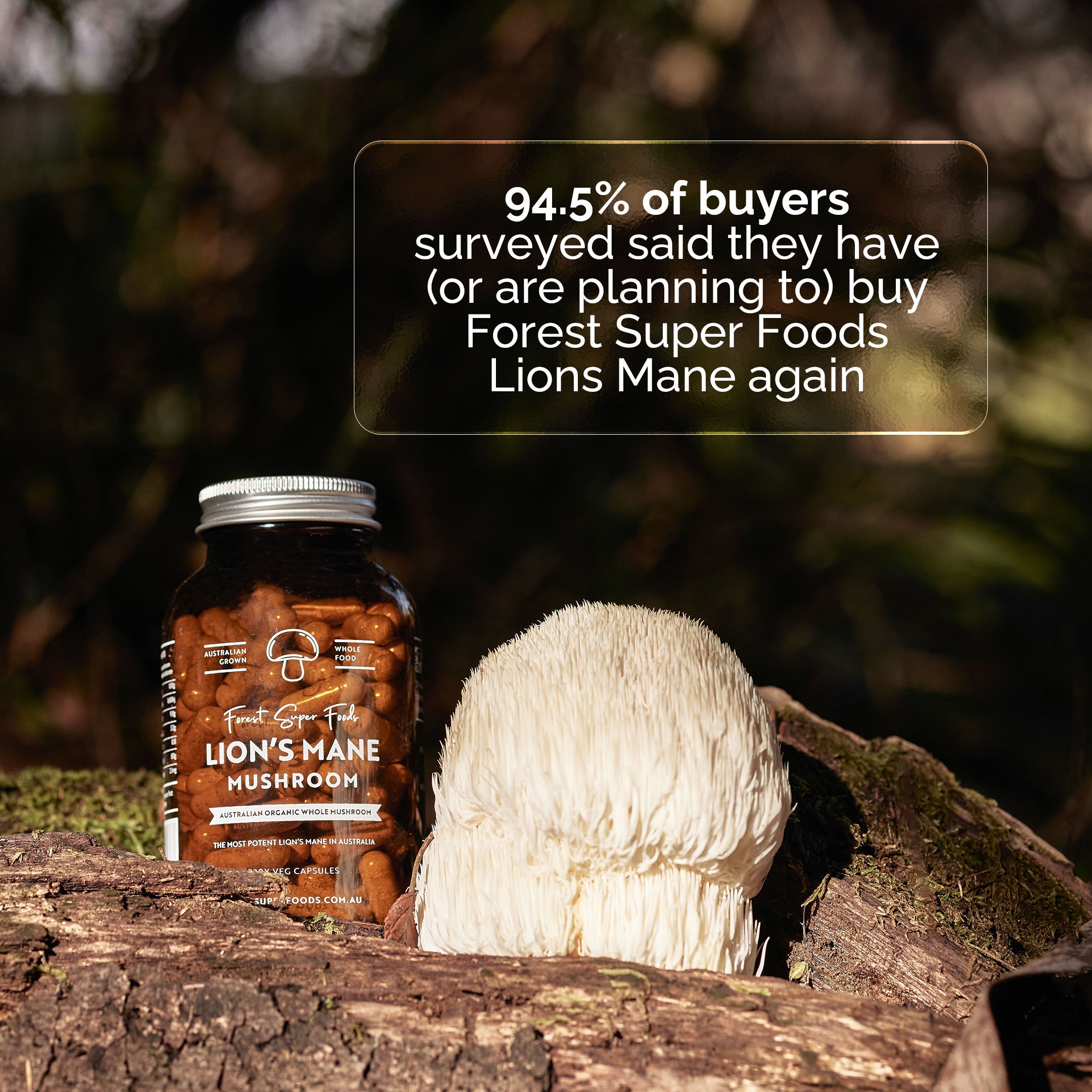 Australian Grown Lions Mane Mushroom Capsules