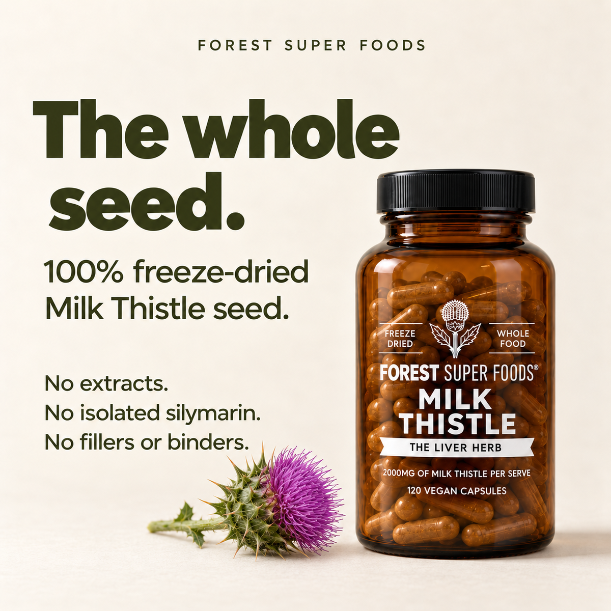 Milk Thistle
