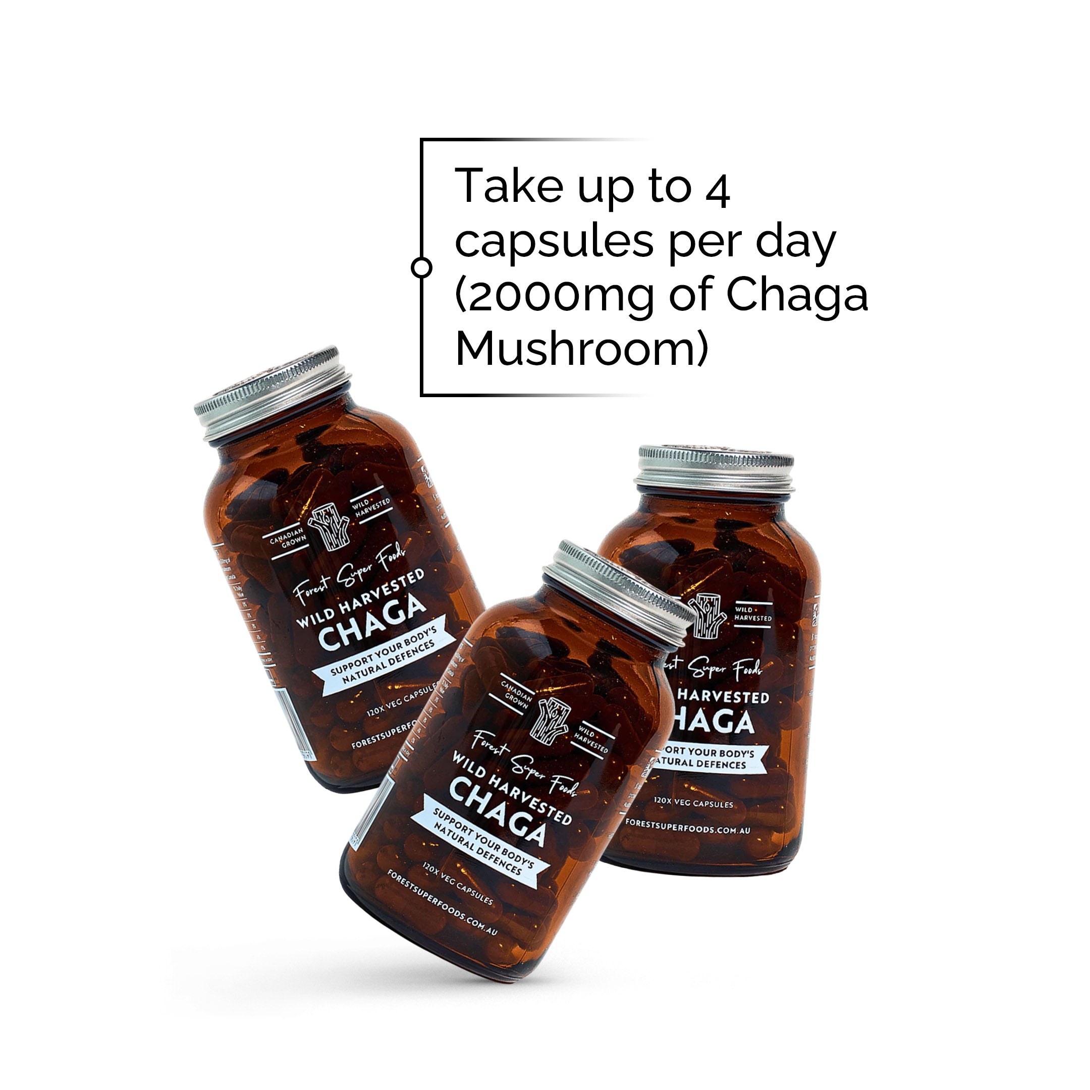 Wild Chaga Mushroom (Canada)