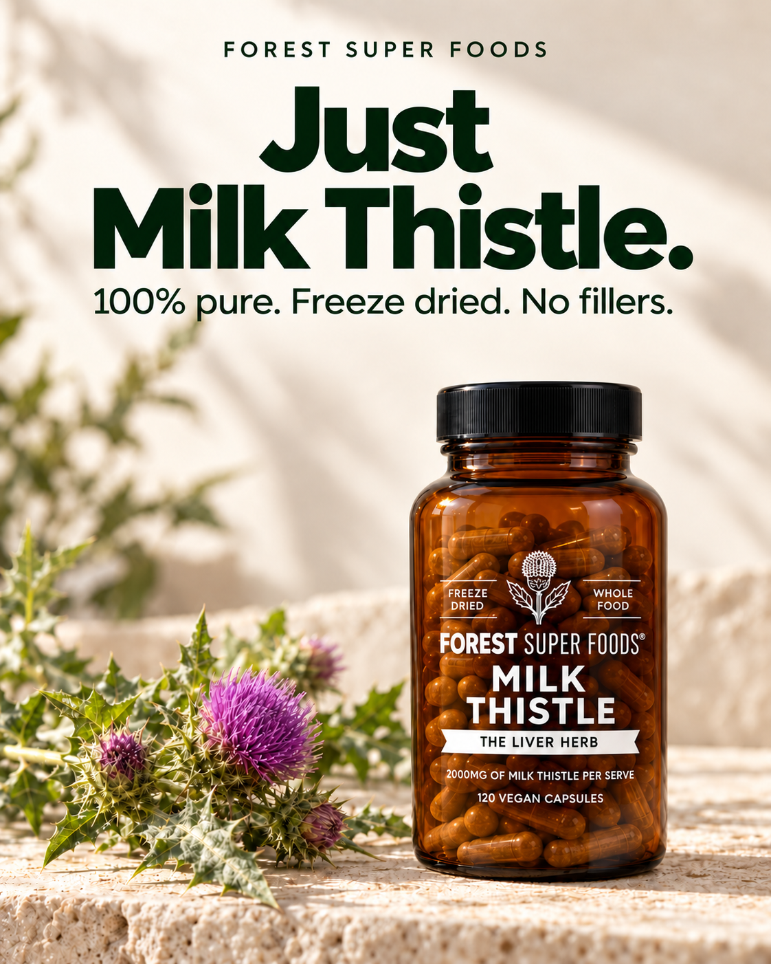 Milk Thistle