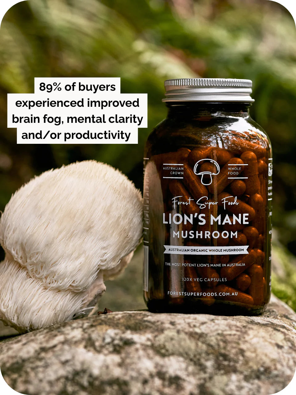 Lions Mane Mushroom Capsules jar beside fresh mushroom on a rock, with text overlay about improved focus and productivity.